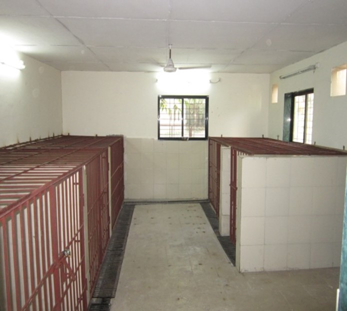 Porcine Facility